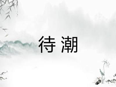 待潮