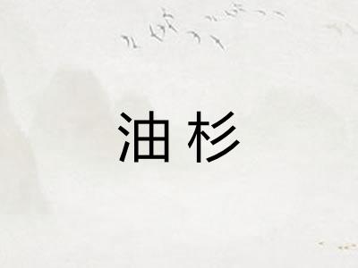油杉