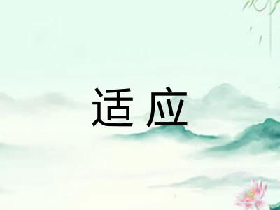 适应
