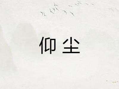 仰尘 仰尘