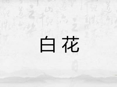 白花 白花