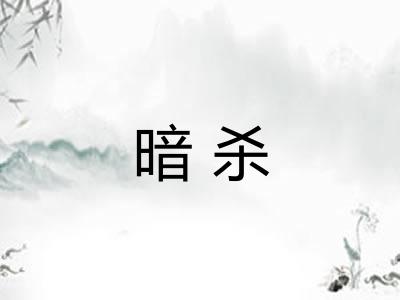 暗杀 暗杀