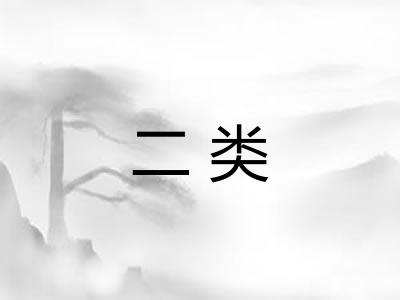 二类