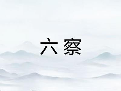 六察