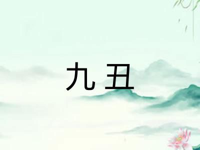 九丑