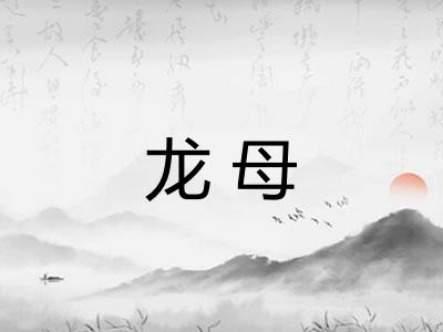 龙母