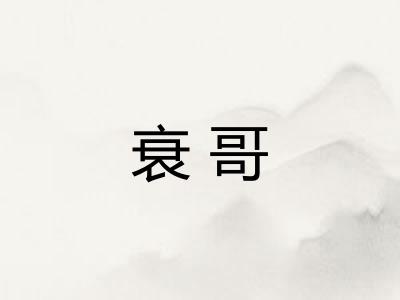 衰哥