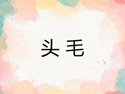 头毛 头毛
