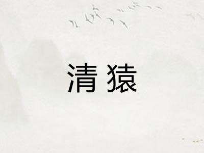 清猿