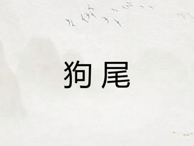 狗尾 狗尾