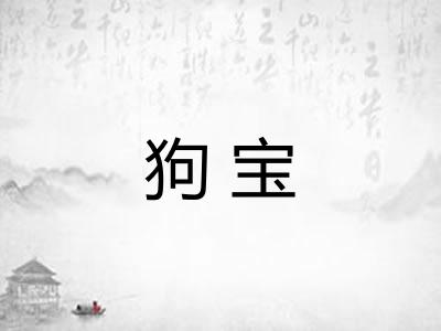 狗宝 狗宝