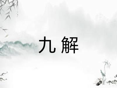 九解