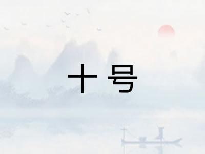 十号
