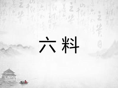 六料