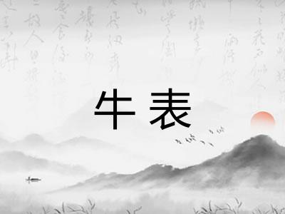 牛表
