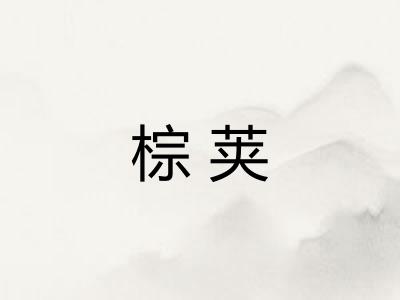 棕荚