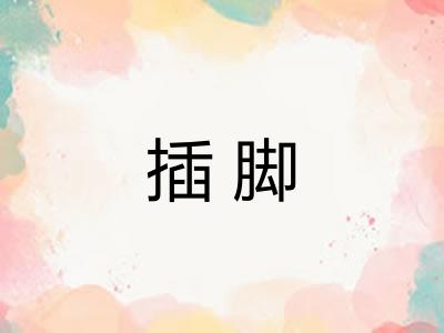 插脚 插脚