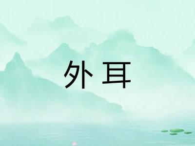 外耳