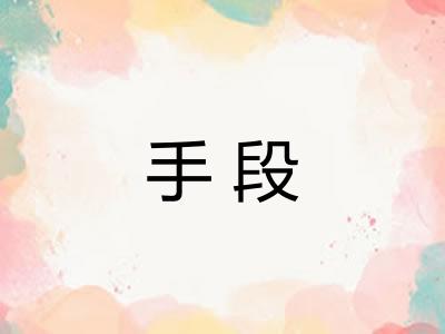 手段
