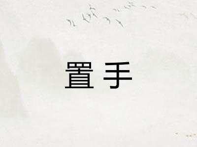 置手
