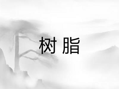树脂