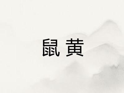 鼠黄 鼠黄