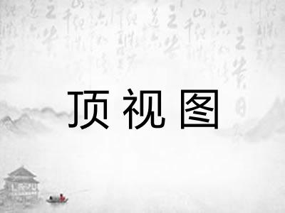 顶视图