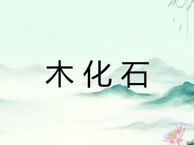 木化石