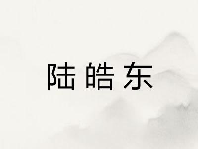 陆皓东