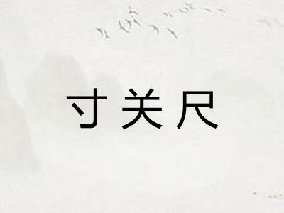 寸关尺