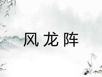 风龙阵 风龙阵