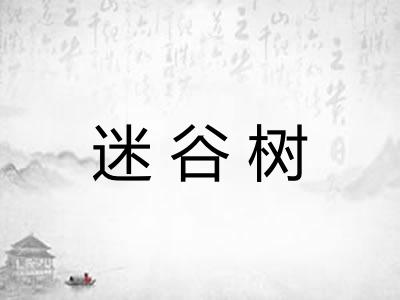 迷谷树