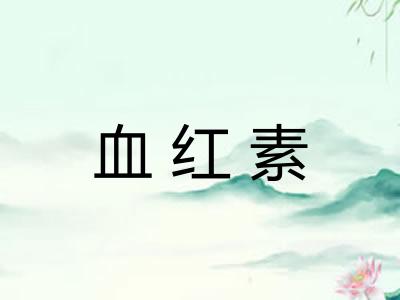 血红素 血红素