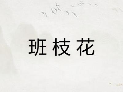 班枝花