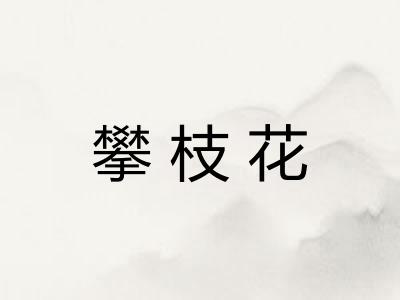 攀枝花