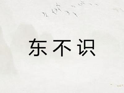 东不识 东不识