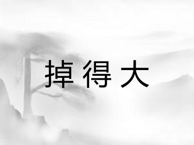 掉得大