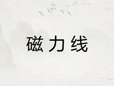 磁力线 磁力线