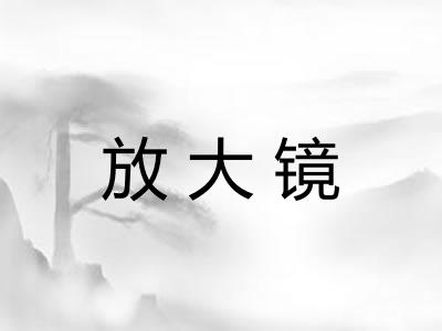 放大镜 放大镜