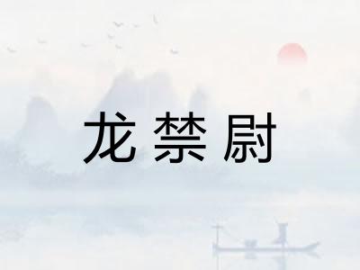 龙禁尉