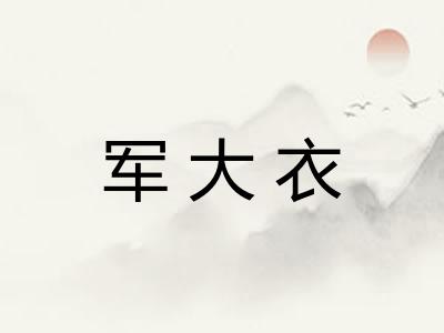 军大衣 军大衣