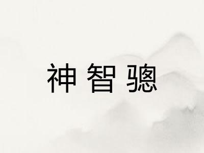 神智骢