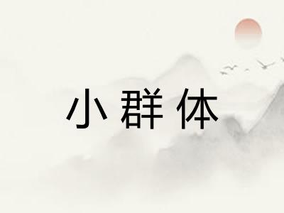 小群体