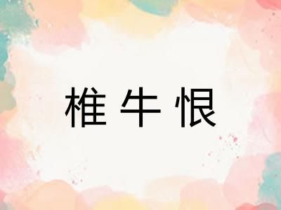 椎牛恨