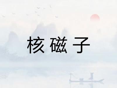 核磁子 核磁子