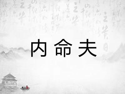内命夫