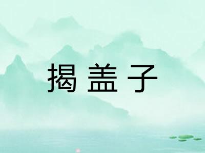 揭盖子