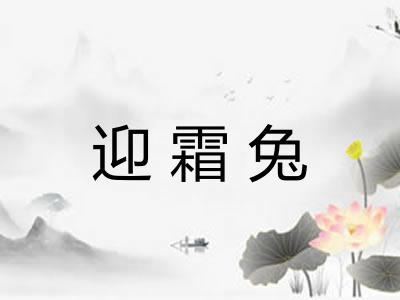 迎霜兔