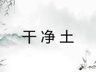 干净土