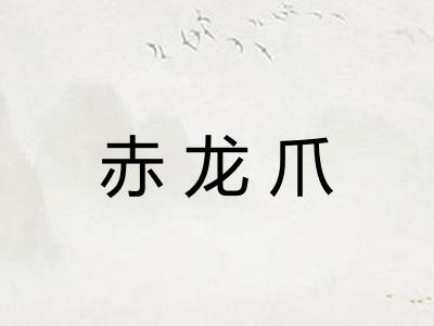 赤龙爪